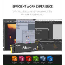256GB SSD NVMe M.2 M-Key PCIe Gen3x4 Form Factor 2280